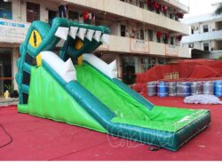 toboggan aquatique gonflable bouche de crocodile