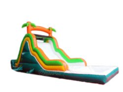 toboggan aquatique gonflable petit pas cher