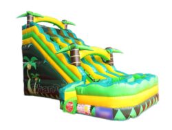 toboggan aquatique gonflable à deux tropical